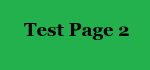 test page 2
